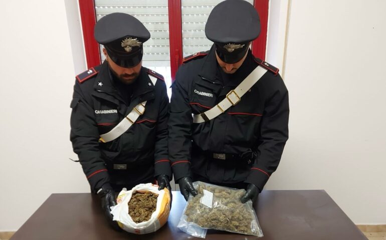 Nasconde 1,3 kg di marijuana nel canile: arrestato un 38enne a Galtellì