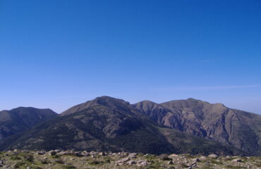 monte linas