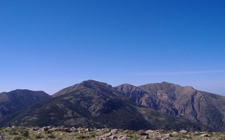 monte linas