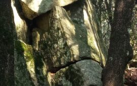 Il volto nella foto di Sebastiano Micheli