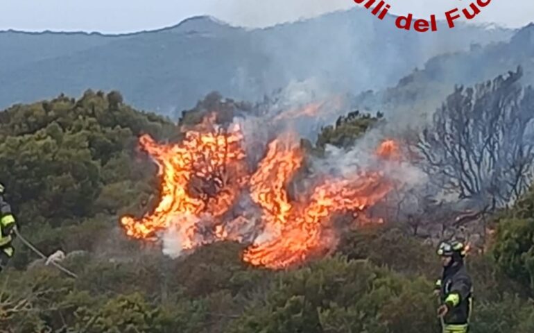 Enorme incendio ad Aggius: le fiamme minacciano il parco eolico