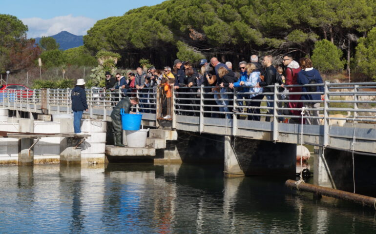 La grande festa di Primavera a Tortolì: torna il 1 maggio con “Lagune Aperte” alla Cooperativa Pescatori