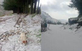 Maggio è alle porte, ma in Sardegna è quasi inverno: neve protagonista in Barbagia