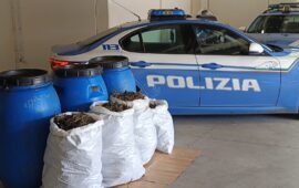 Maxi sequestro di marijuana nel Nuorese: 20 chili trovati dalla Polizia in campagna