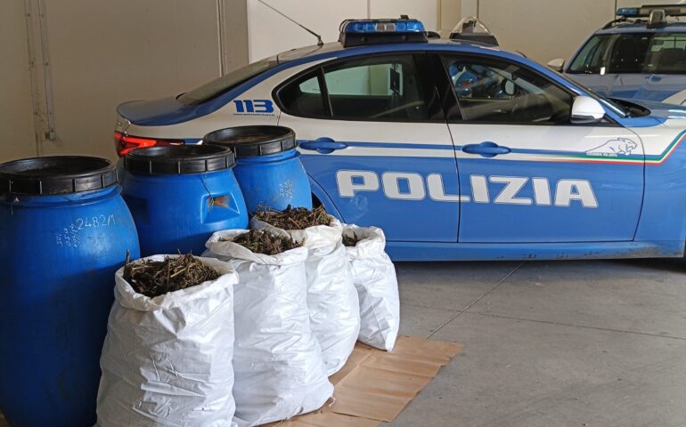 Maxi sequestro di marijuana nel Nuorese: 20 chili trovati dalla Polizia in campagna