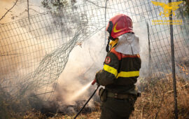 Cardedu, vasto incendio nelle campagne: intervengono gli uomini del Corpo Forestale
