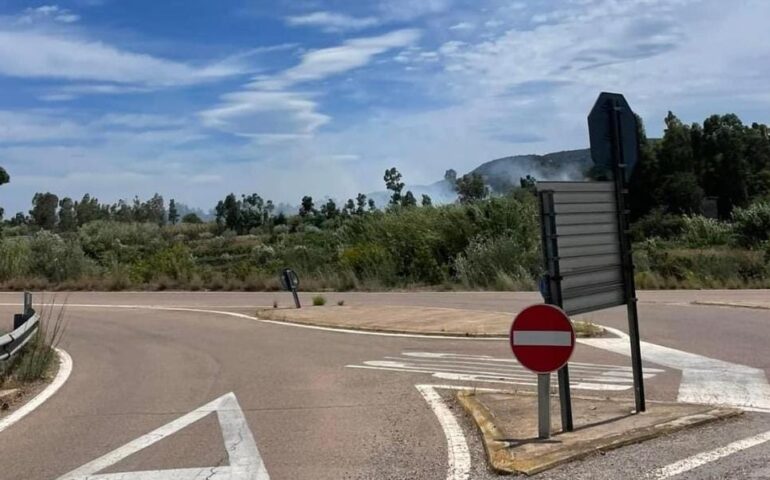 Girasole, incendio nelle campagne del paese. Vigili del Fuoco al lavoro