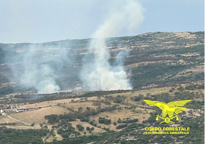 Vasto incendio nelle campagne di Nuoro: interviene l’elicottero