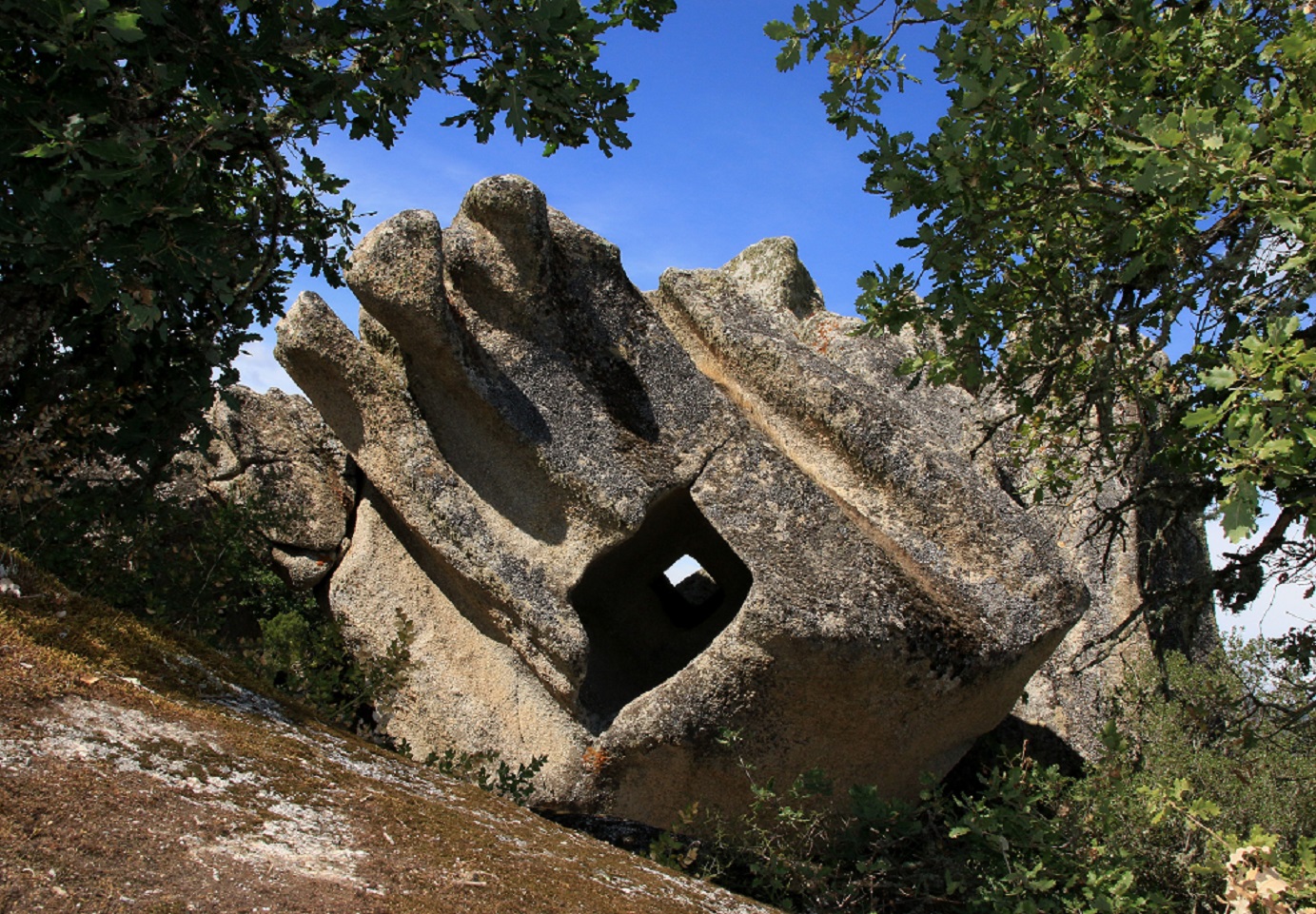 Domus de janas di Borucca, Buddusò