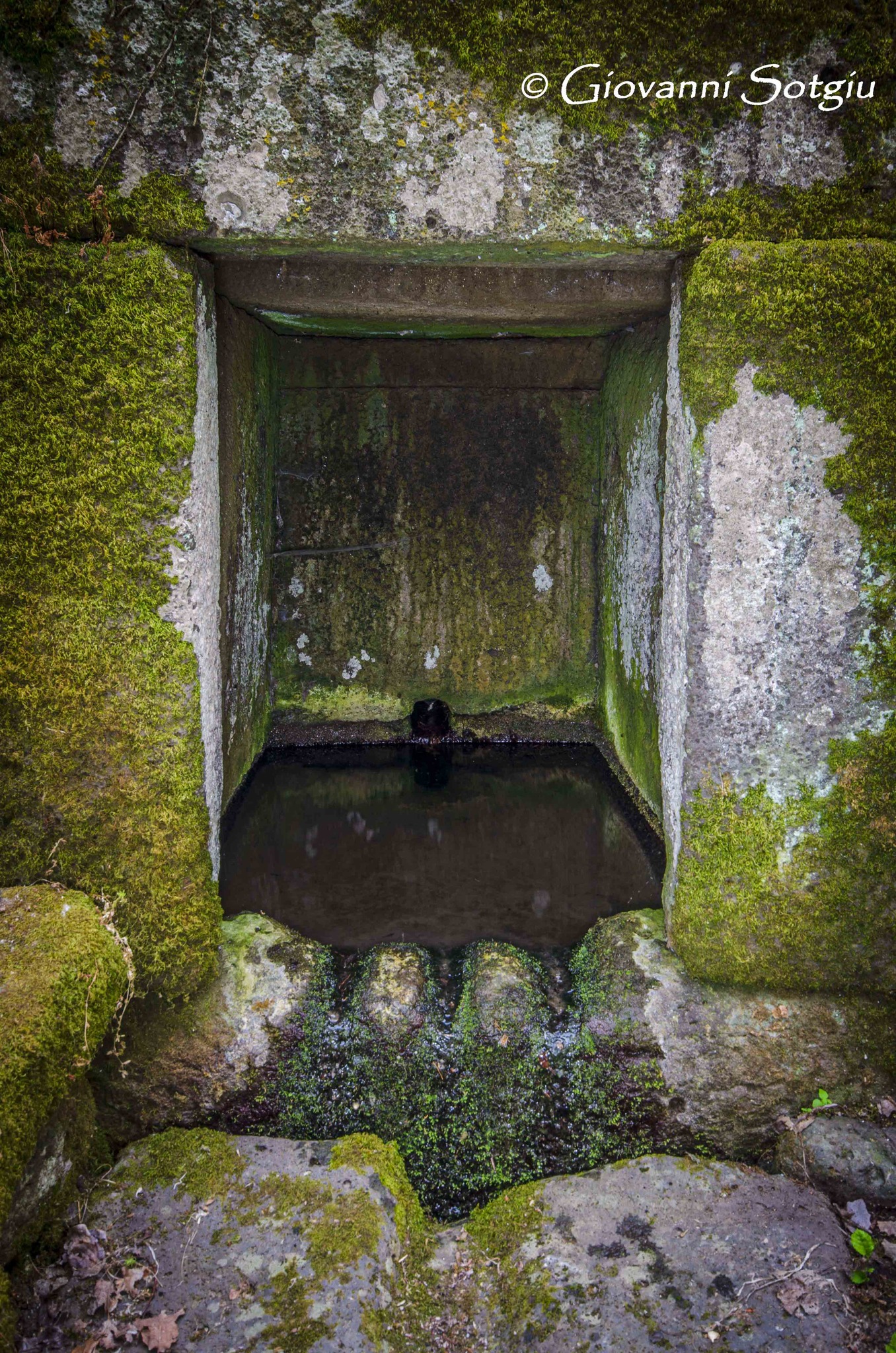 FONTE SACRA DI PUNTANARCU a Sedilo