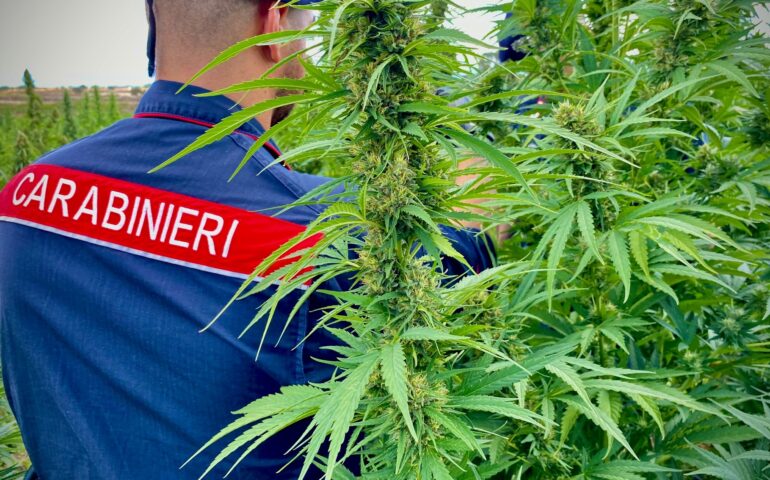 arresto dei carabinieri per droga