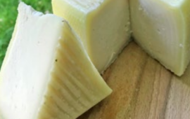Formaggio sardo Ircano