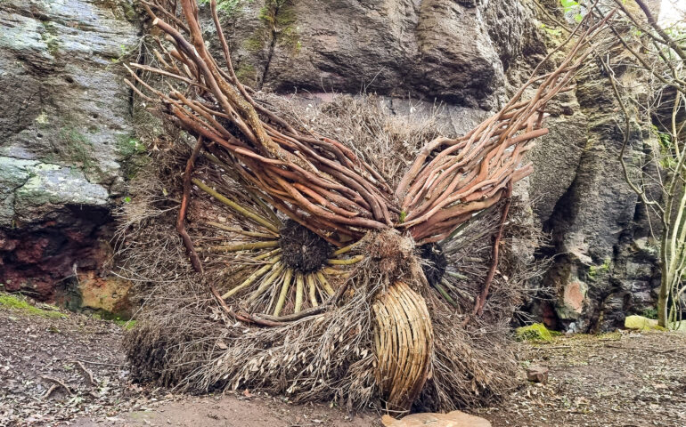 Un Bosco da Fiaba - Parco dell'ossidiana -Pau