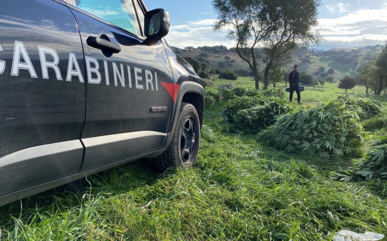 carabinieri di orotelli