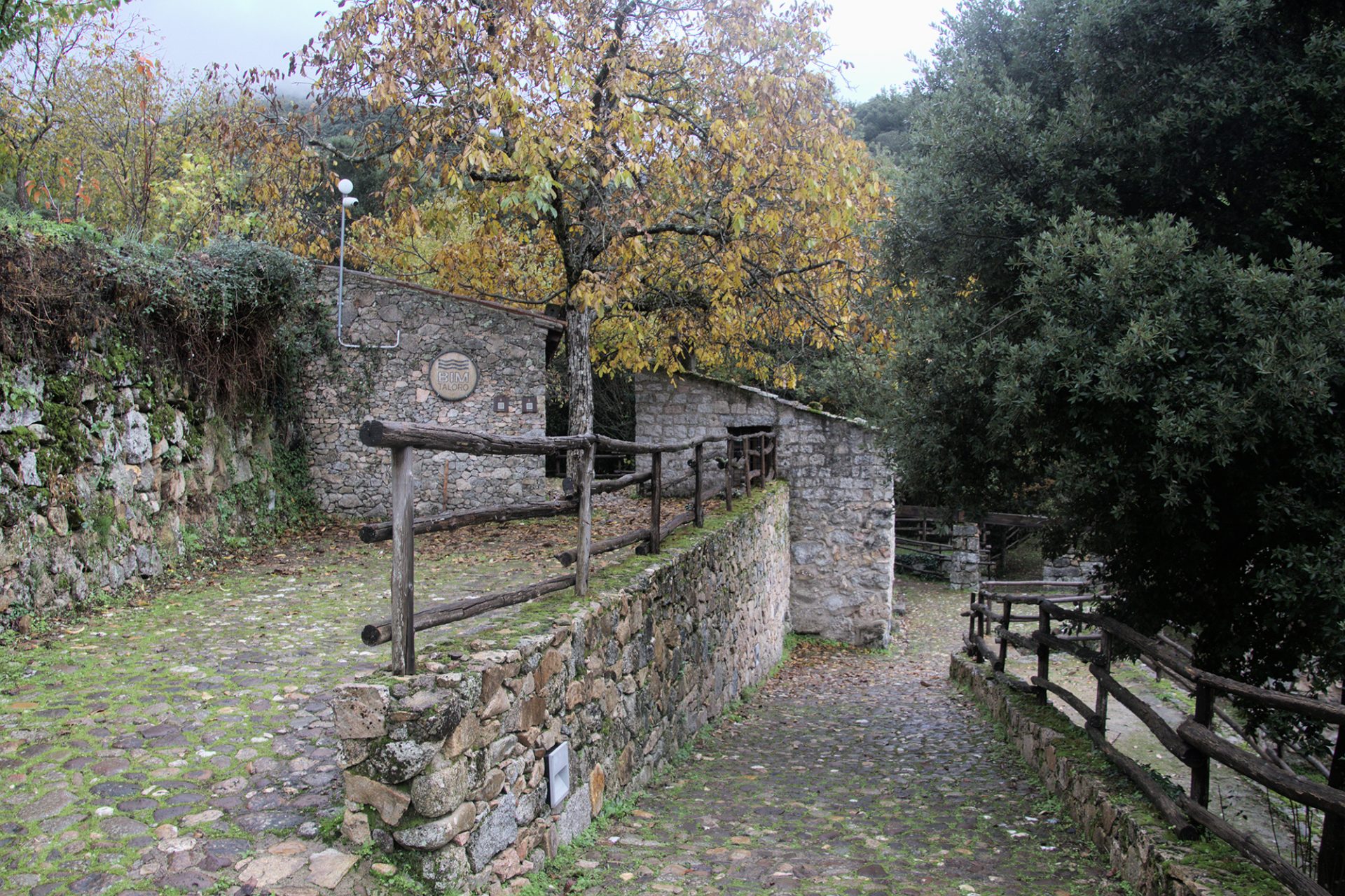 gualchiera di Tiana