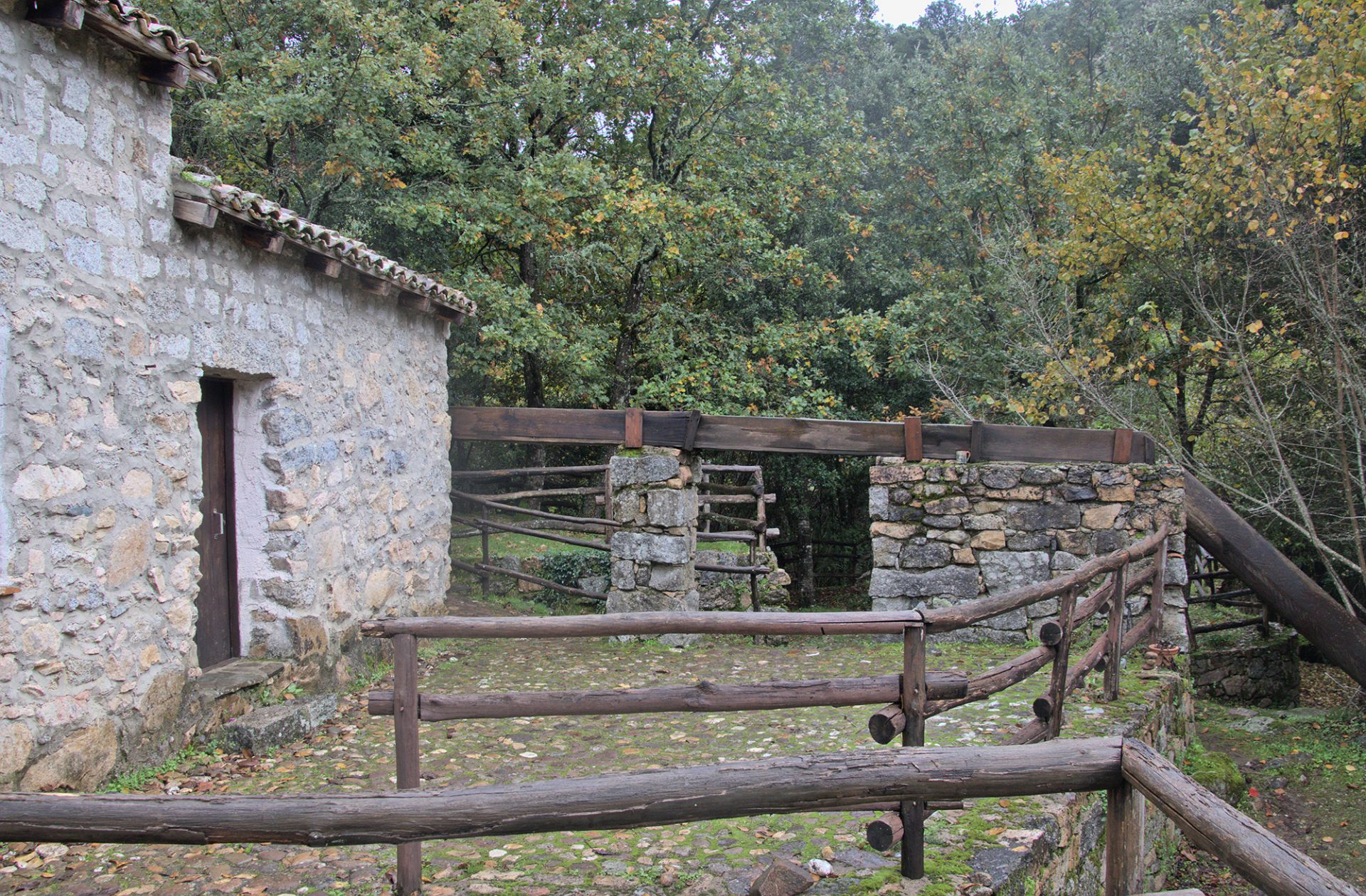 gualchiera di Tiana