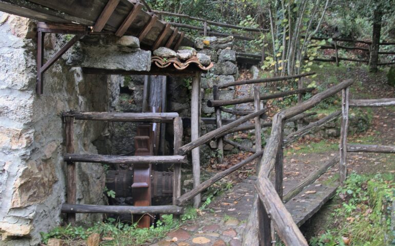 gualchiera di Tiana