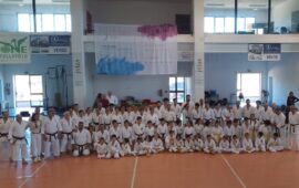 karate stefano muntoni