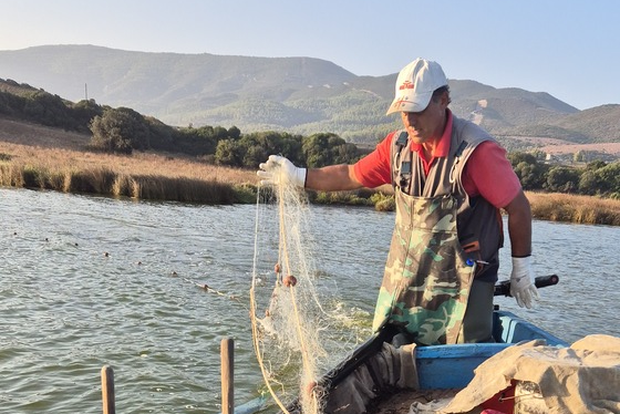 mauro caria pescatore