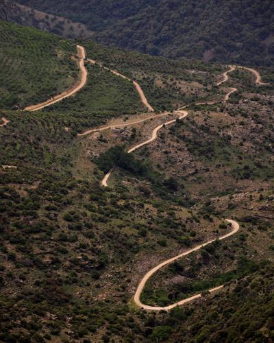 Foresta Demaniale di Alase in Sardegna