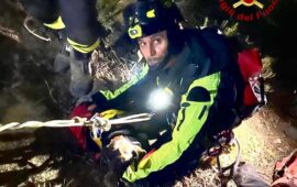 cane salvato dai vigili del fuoco