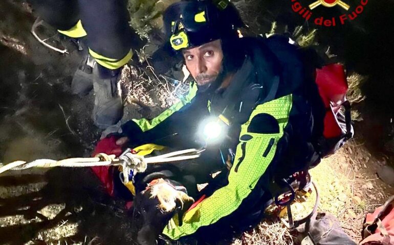 cane salvato dai vigili del fuoco