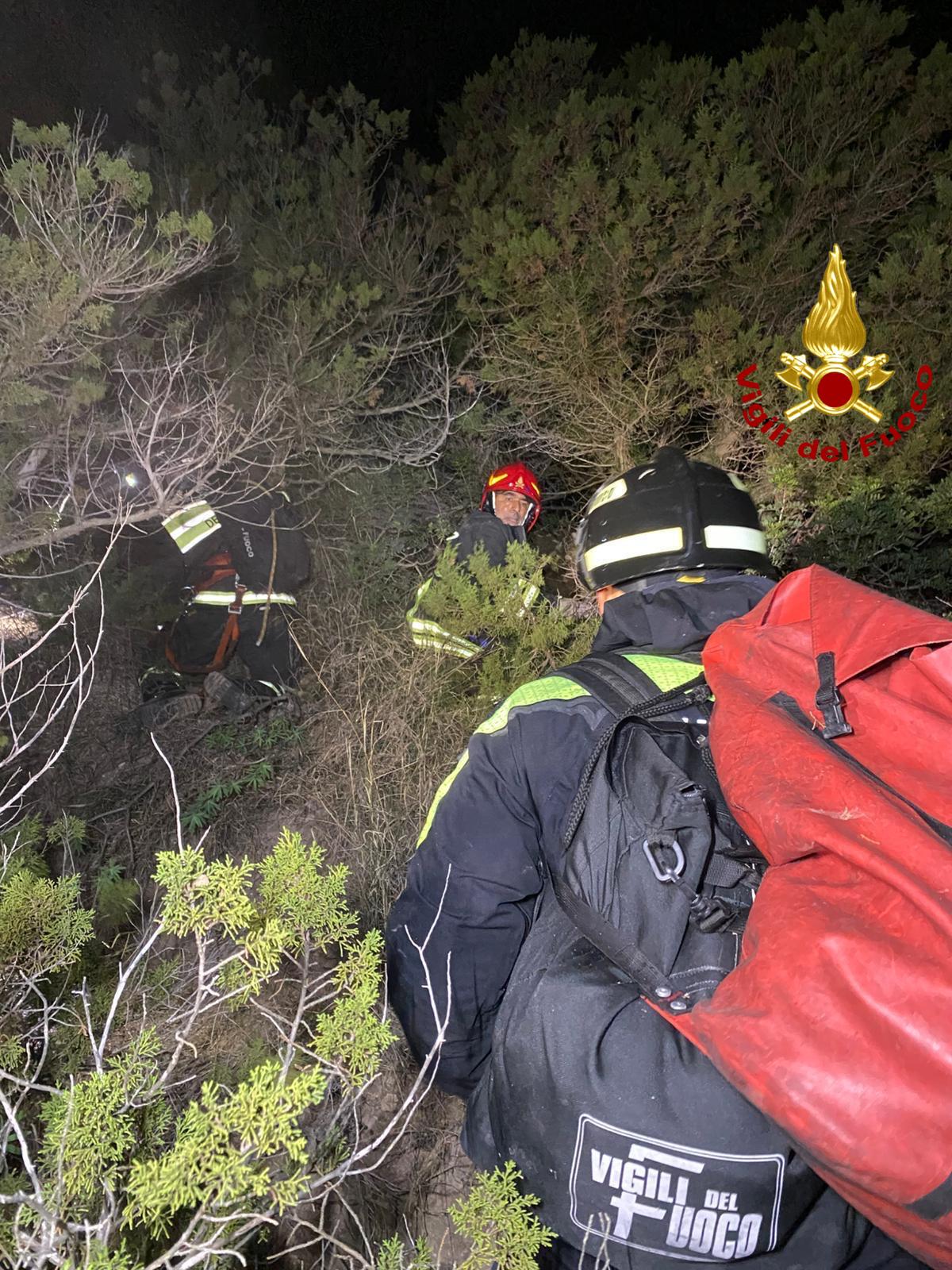 cane salvato dai vigili del fuoco