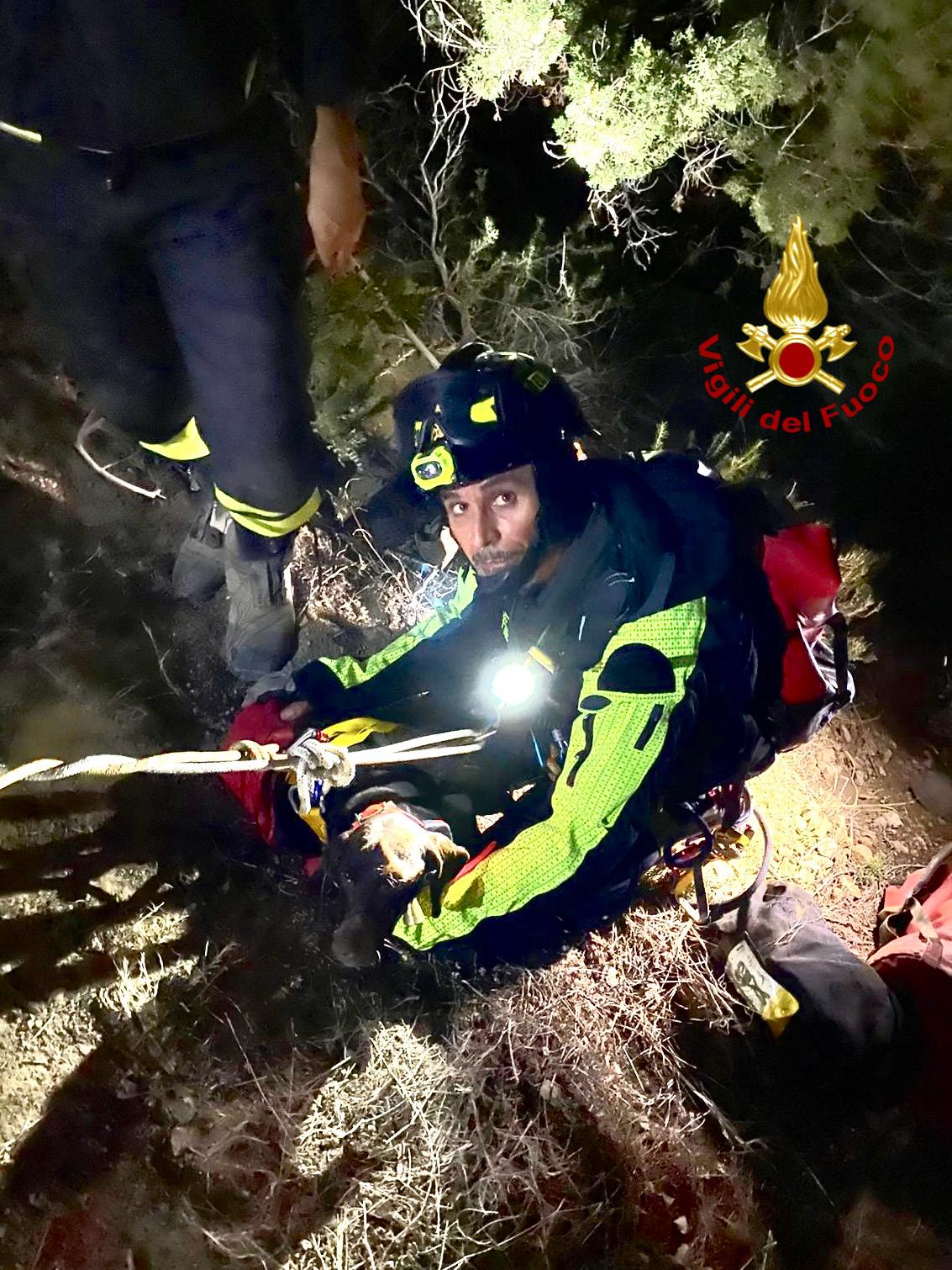 cane salvato dai vigili del fuoco
