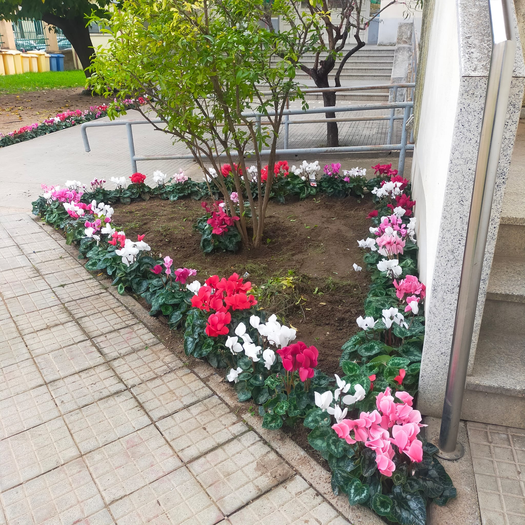 olbia, fiori per il piccolo gioele putzu