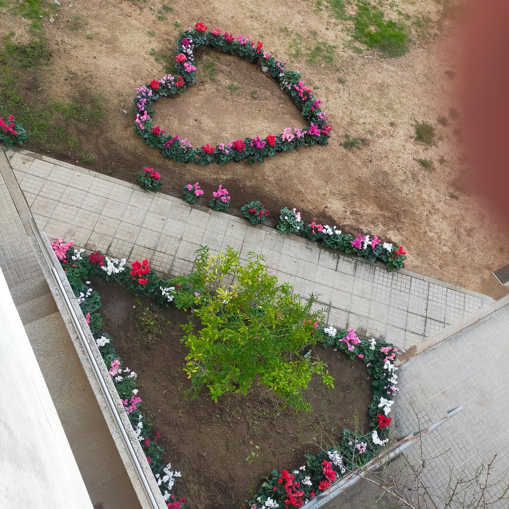 olbia, fiori per il piccolo gioele putzu