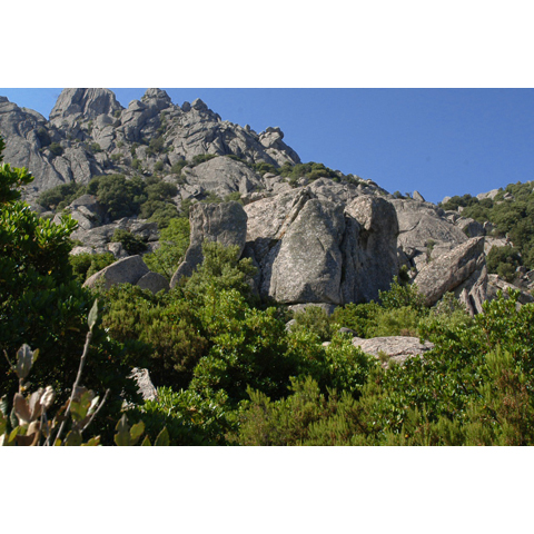 monte limbara