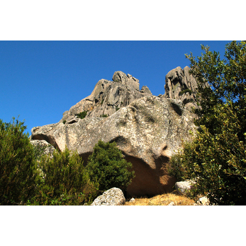 monte limbara