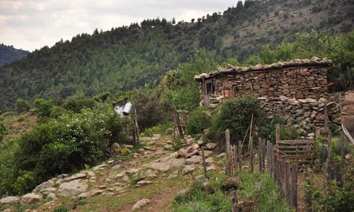 ovile del pastore a is padula, nella foresta di alase in sardegna