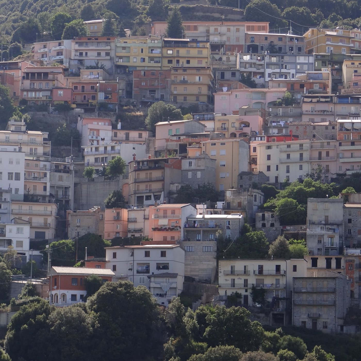 Talana