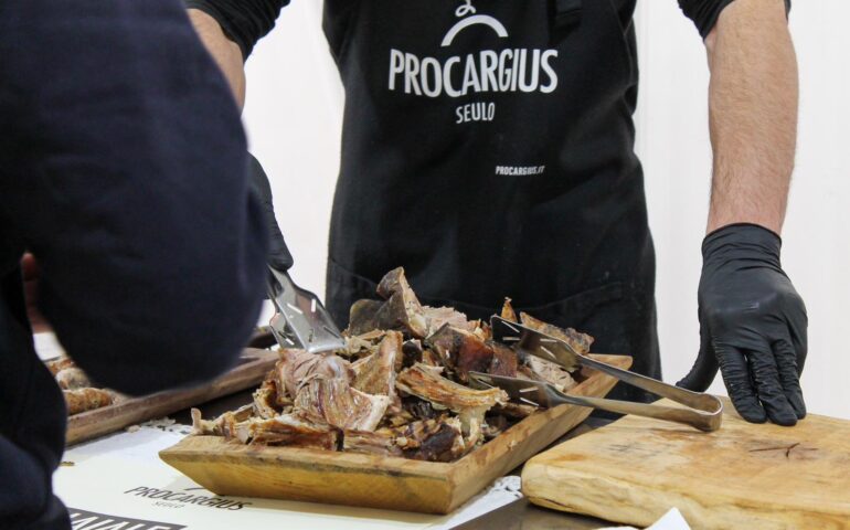 procargius seulo