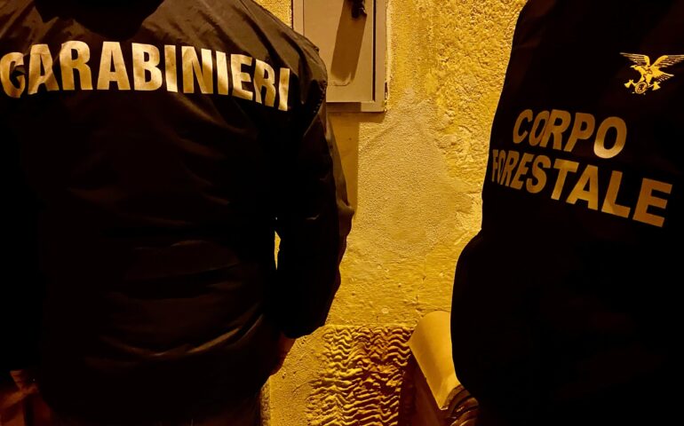 arresti baronia