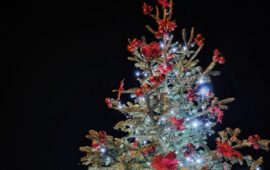 albero di natale ad arbatax