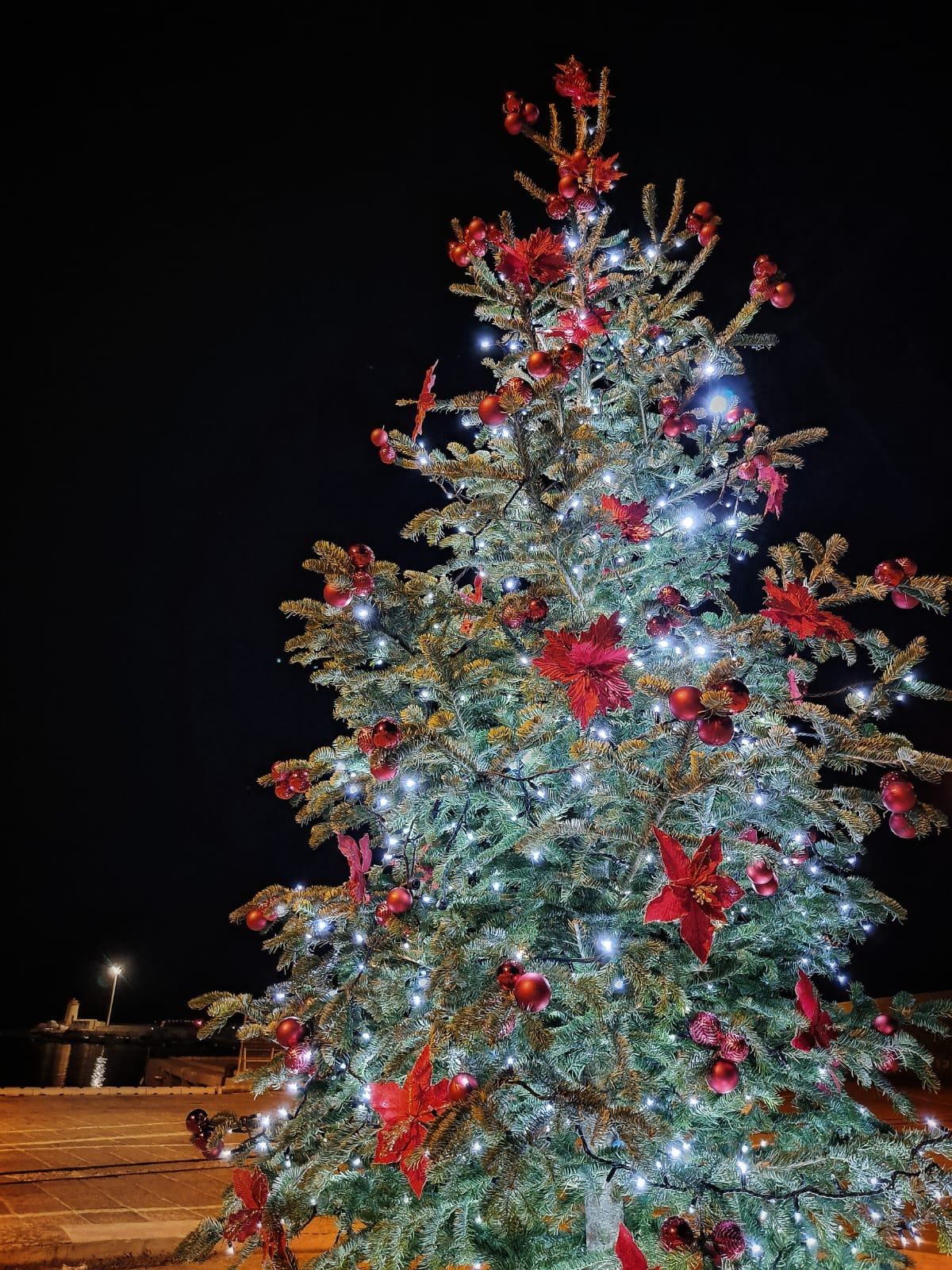albero di natale ad arbatax