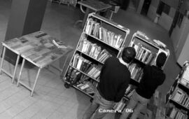 Ladri in azione nel bookcrossing