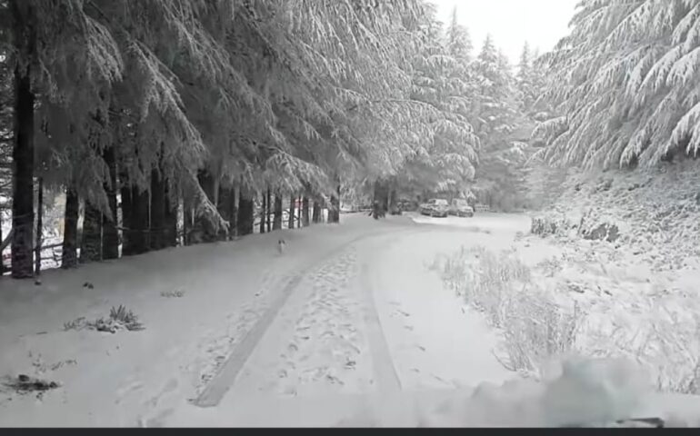 Neve a Fonni