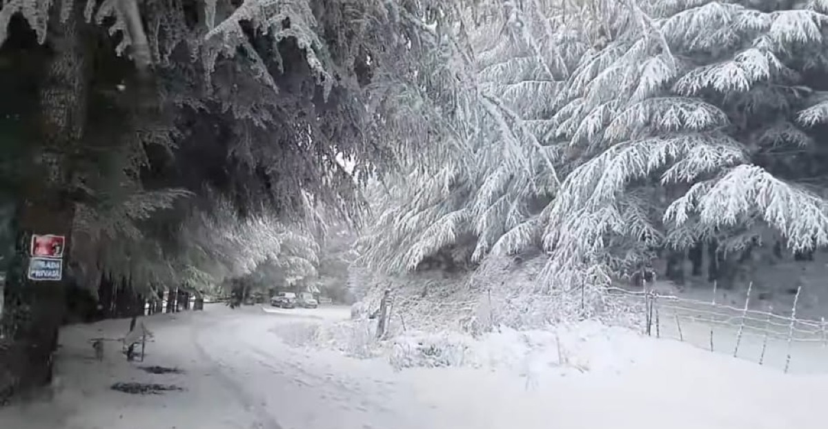 Neve a Fonni