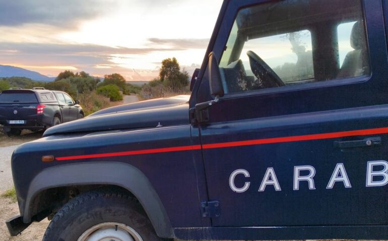 Orgosolo, caccia di frodo al cinghiale di notte con arma illegale: due arrestati e due denunciati