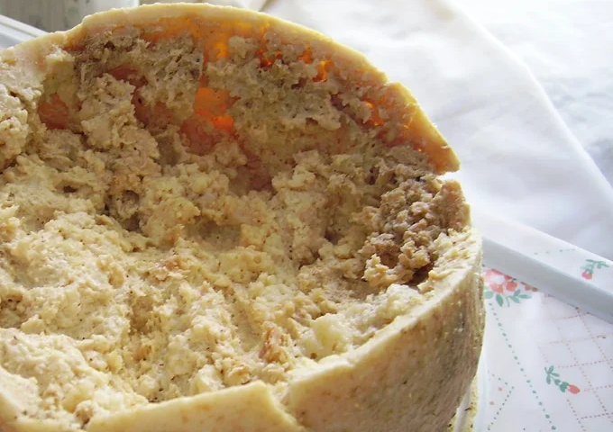 Casu marzu