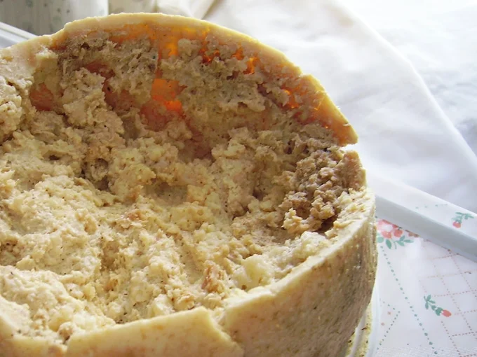 Casu marzu