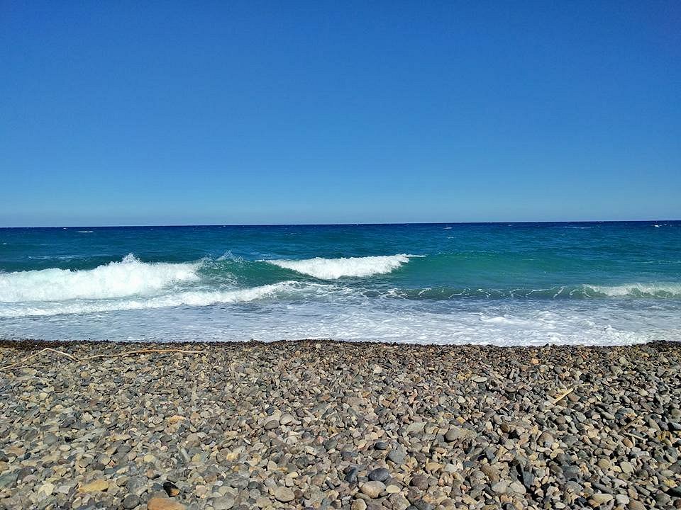 Coccorrocci