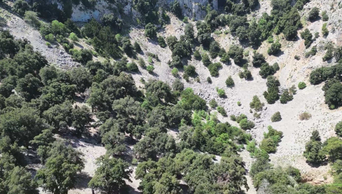 L'interno della dolina, ricca di alberi