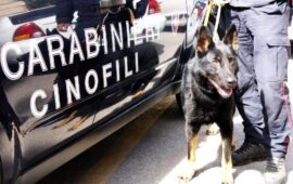 carabinieri cinofili