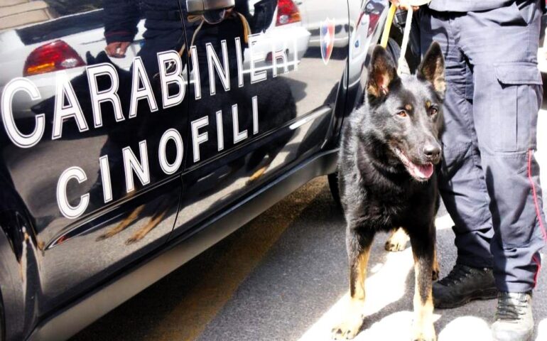carabinieri cinofili