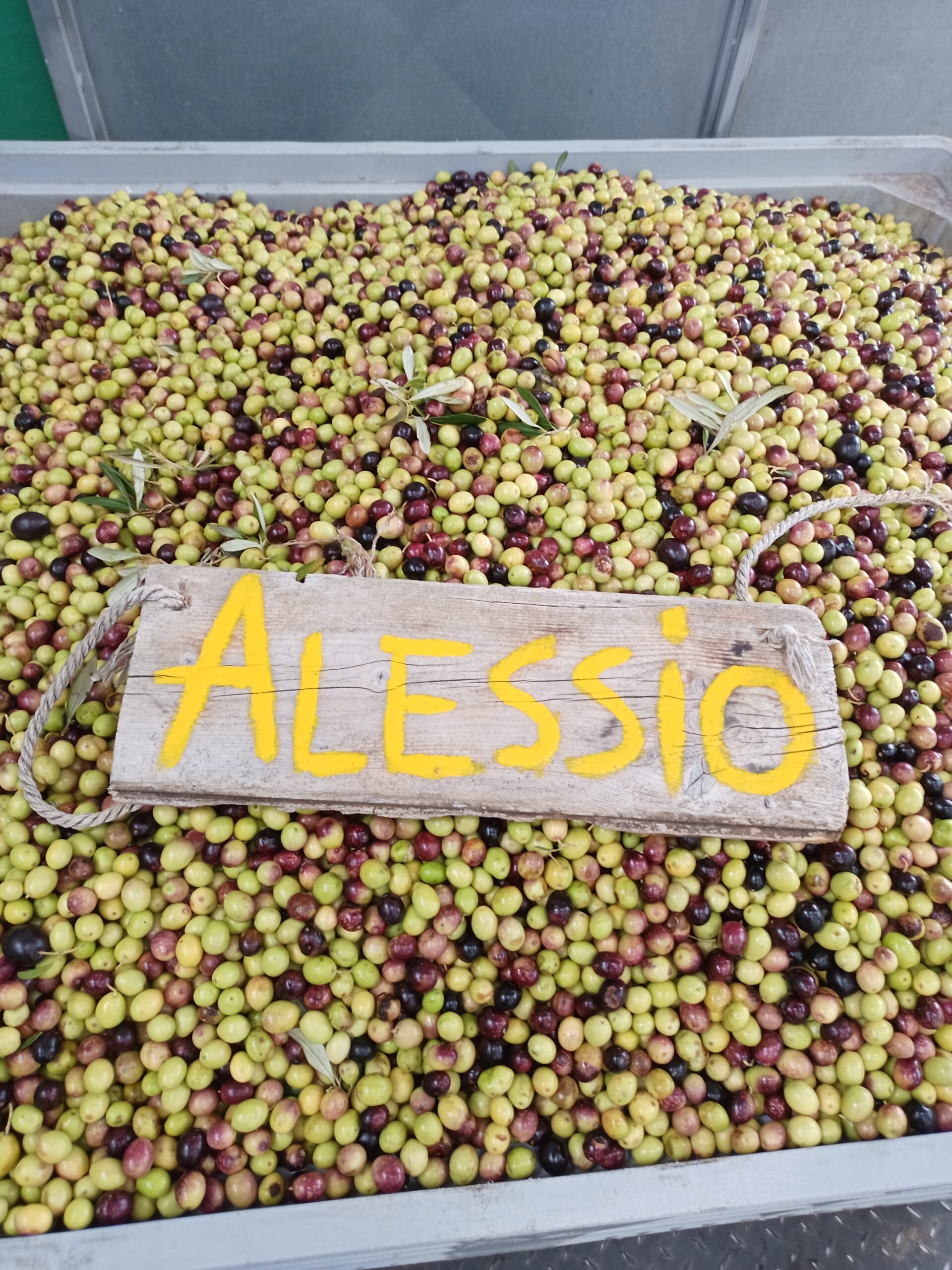 azienda agricola sarda Agreste