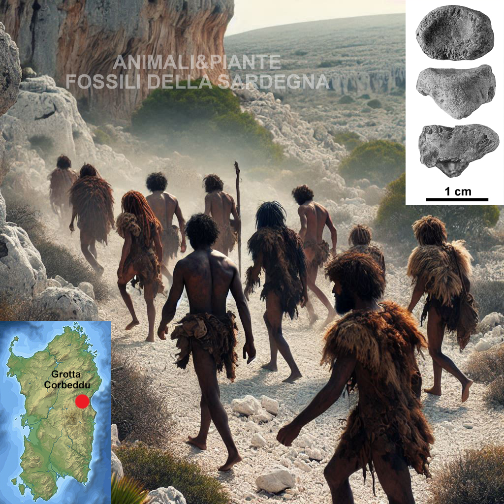homo sapiens in sardegna